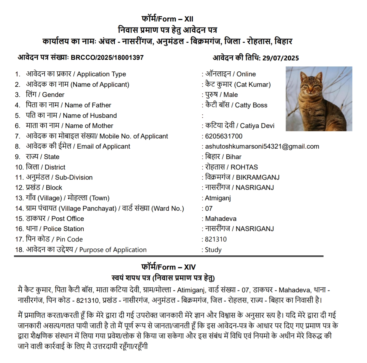 Cat Kumar - The Civic Sense